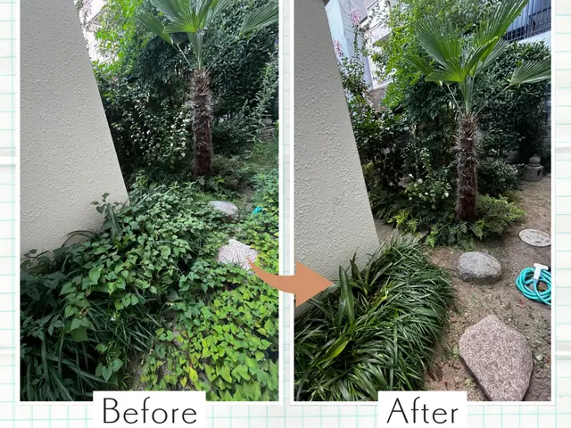 草むしりとお庭の相談&アドバイスサービスの画像