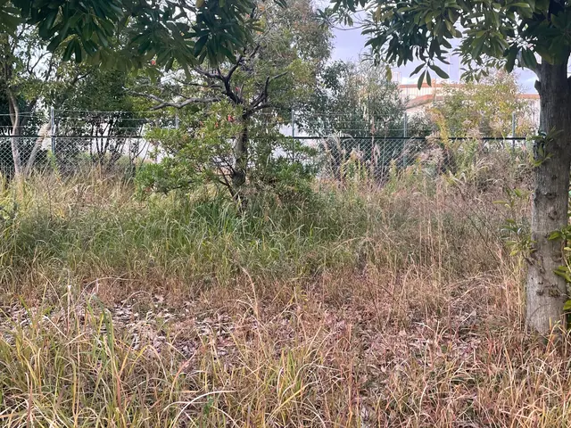 草刈り代行サービス♪サービスの画像