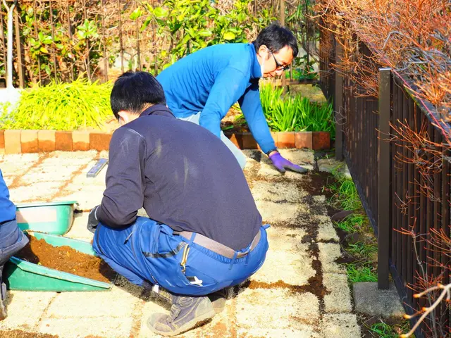 【口コミ賞受賞】裸足で芝の上を歩きませんか？！春と秋の施工がオススメです！！サービスの画像