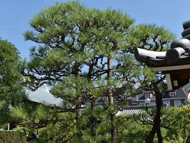 【越谷発】「頼んでよかった。また頼みたい」と思っていただける職人であり続けたい。サービスの画像