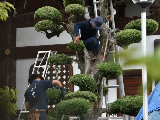 【越谷発】「頼んでよかった。また頼みたい」と思っていただける職人であり続けたい。サービスの画像