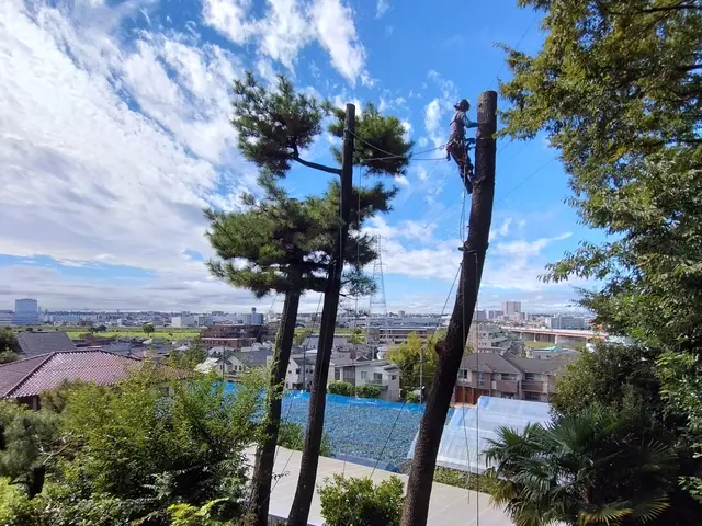 【活緑】樹木の伐採は造園のプロにお任せください！☆一級造園技能士☆サービスの画像