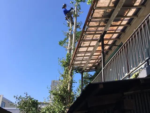 【活緑】樹木の伐採は造園のプロにお任せください！☆一級造園技能士☆サービスの画像