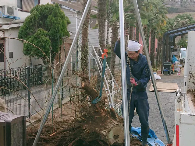 【活緑】樹木の伐採は造園のプロにお任せください！☆一級造園技能士☆サービスの画像