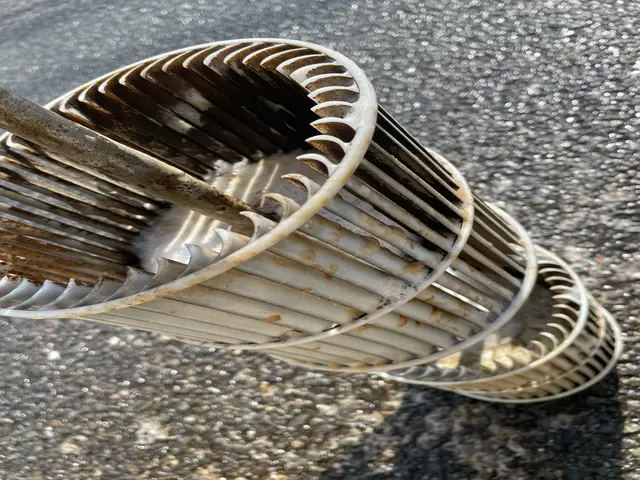 月100台以上の実績！病院、ホテル、幼稚園、飲食店など実績多数◎複数台で割引有！サービスの画像