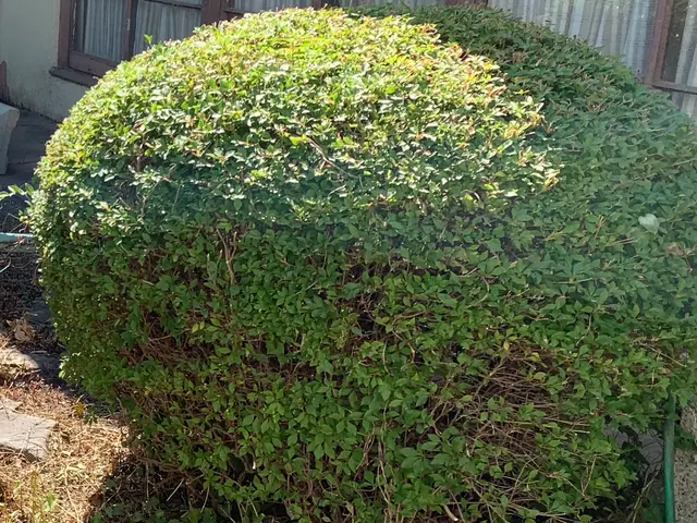 【業歴10年の実績】予約から作業まで全て自社対応◎対応地域外も対応可能サービスの画像