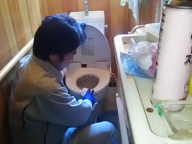 ご家庭で落ちなかった汚れもプロの力にお任せください!!サービスの画像