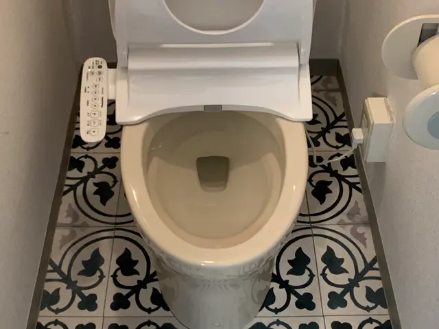 年末大掃除に向けての水周りクリーニングはいかがですか？迅速丁寧に作業いたします！サービスの画像