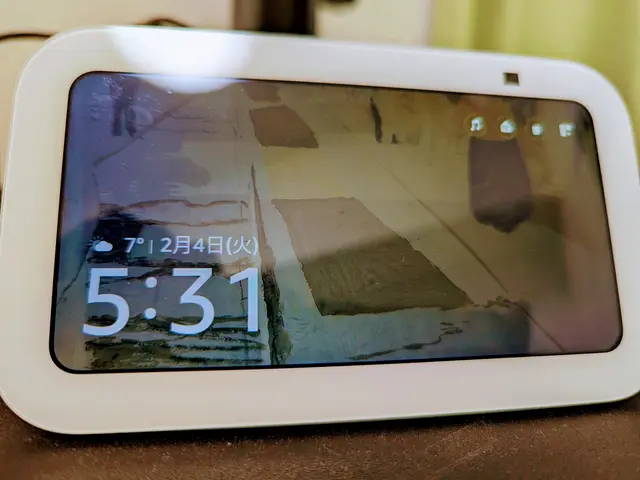 【★マルチ決済対応☆】◆◇スマートスピーカー設定◇◆各種ネットワーク設定サービスの画像