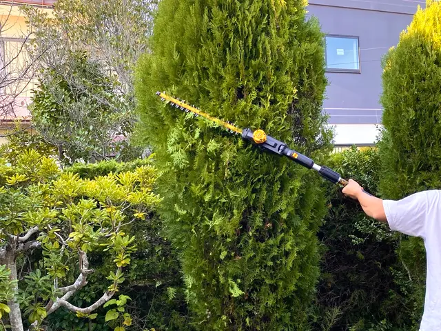 スピードより丁寧さ重視。1本からでも喜んでお受けいたしますサービスの画像