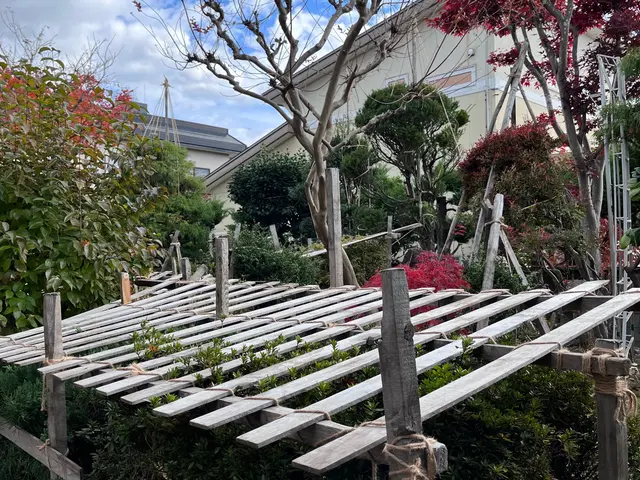 あなたの夢の庭を現実に！お客様の理想を叶える庭木のプロフェッショナルサービスの画像