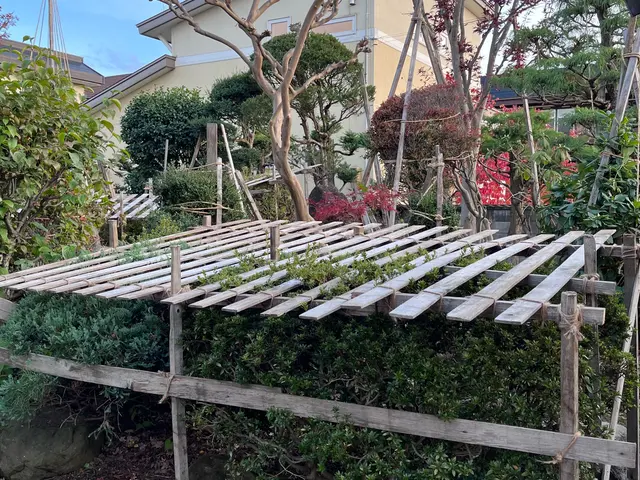 あなたの夢の庭を現実に！お客様の理想を叶える庭木のプロフェッショナルサービスの画像