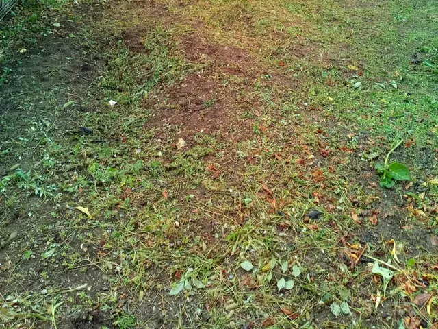 【長野県】好評!10月末まで平日の空きが御座いません。土日祝の空き残りわずか。サービスの画像