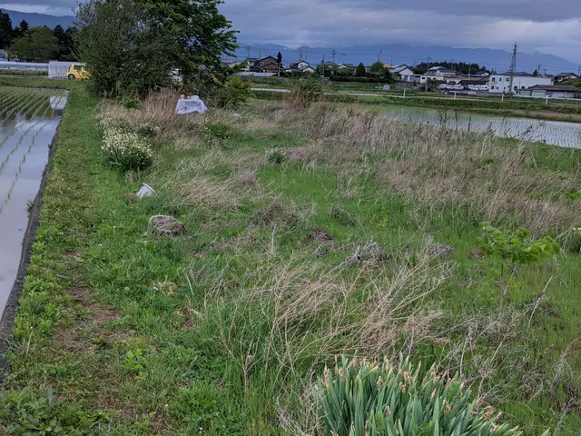 【長野県】好評!10月末まで平日の空きが御座いません。土日祝の空き残りわずか。サービスの画像