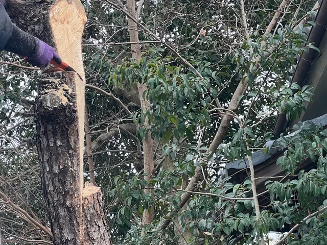 年中無休！近隣の方々にご迷惑にならないよう対応しますサービスの画像