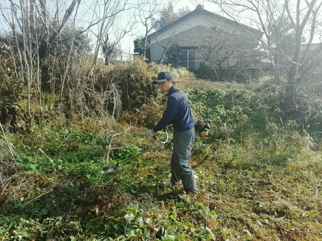 草、きれいに刈り取りませんか？サービスの画像