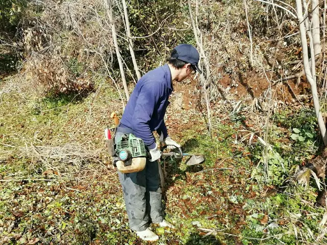 草、きれいに刈り取りませんか？サービスの画像