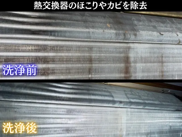 【施工件数5000件の実績！】完全分解洗浄対応店/洗濯機と同時予約で5%OFF！サービスの画像