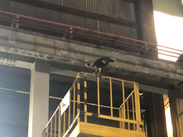 【年中無休・24時間対応】作業外注なし100％自社対応！駐車代お店負担！サービスの画像