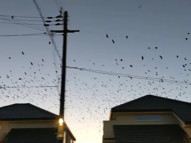 【年中無休・24時間対応】作業外注なし100％自社対応！駐車代お店負担！サービスの画像