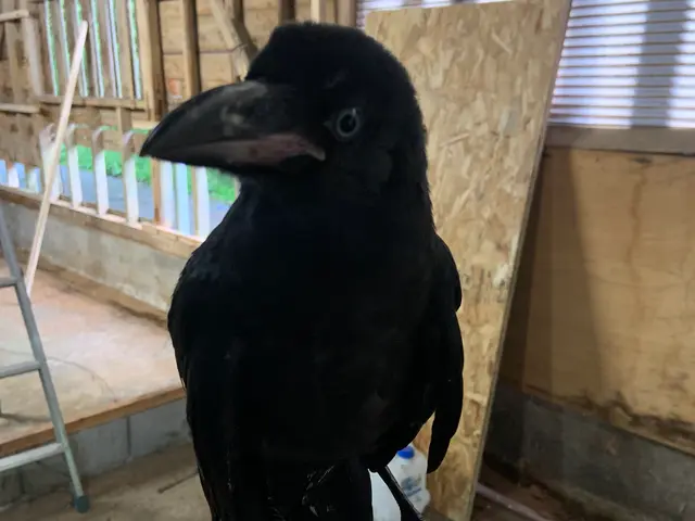 【年中無休・24時間対応】作業外注なし100％自社対応！駐車代お店負担！サービスの画像