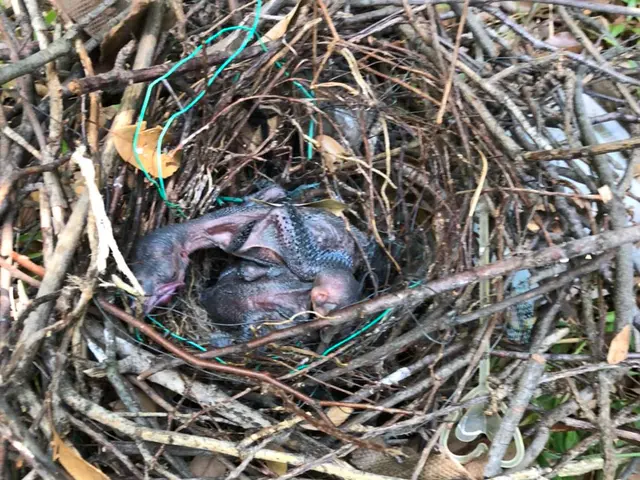 【年中無休・24時間対応】作業外注なし100％自社対応！駐車代お店負担！サービスの画像