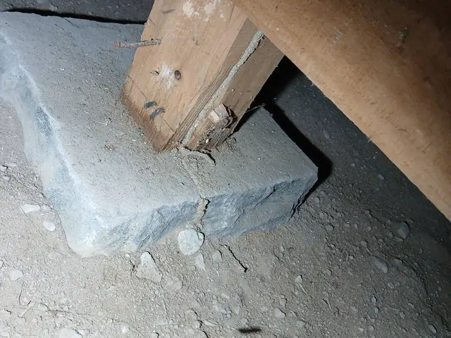 シロアリ駆除はおまかせください！サービスの画像