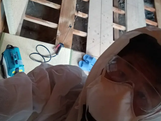 シロアリ駆除はおまかせください！サービスの画像