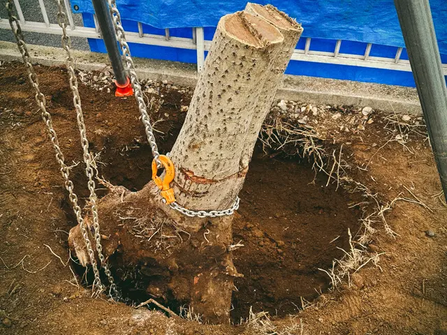 女性スタッフ活躍中☆すべて自社対応◎豊富な経験と知識で安心！サービスの画像