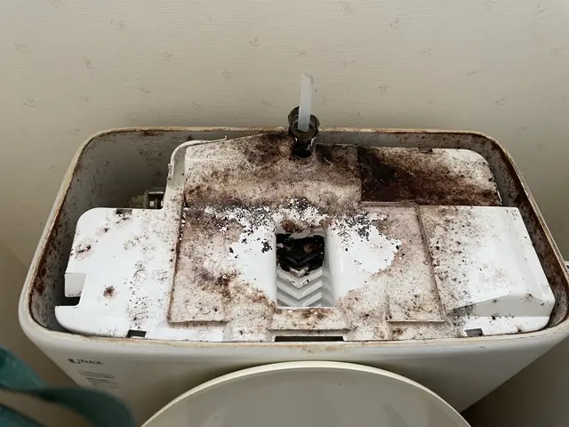 素早い作業と丁寧な仕上がり！経験と知識を活かして迅速丁寧に作業いたします！サービスの画像