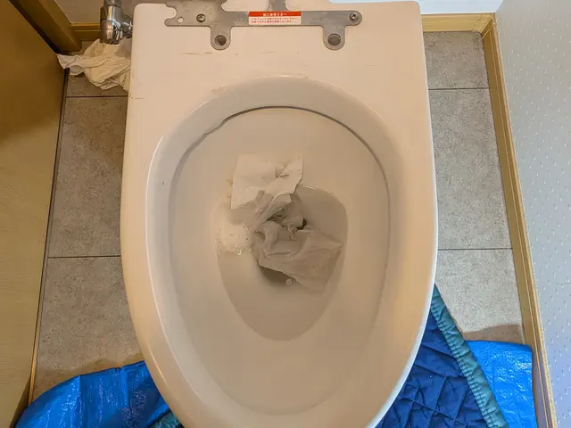 【初出店キャンペーン】●洗浄便座取り外し、取り付け●最高の笑顔で伺います●●サービスの画像