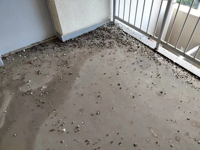 【最短即日対応】ハト対策・防鳥ネット施工｜清掃・消毒まで一括対応サービスの画像