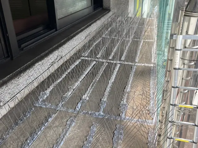 【最短即日対応】ハト対策・防鳥ネット施工｜清掃・消毒まで一括対応サービスの画像