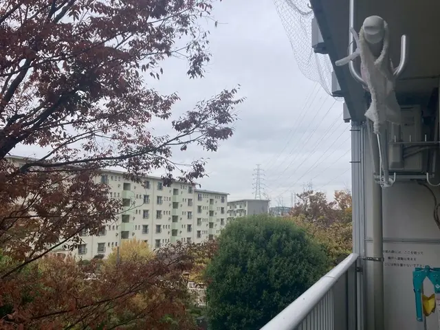 【最短即日対応】ハト対策・防鳥ネット施工｜清掃・消毒まで一括対応サービスの画像