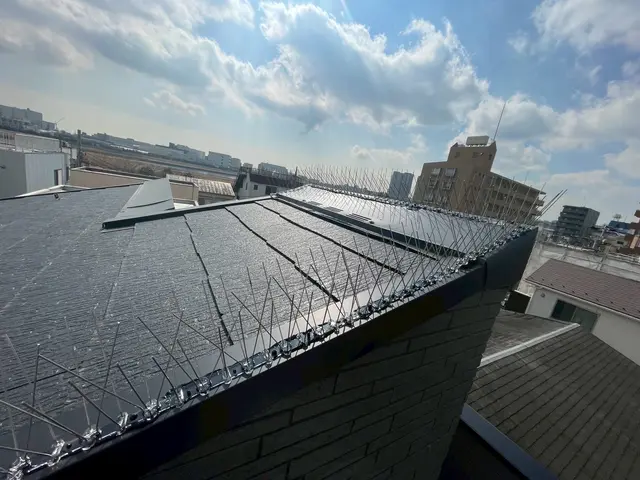 【最短即日対応】ハト対策・防鳥ネット施工｜清掃・消毒まで一括対応サービスの画像