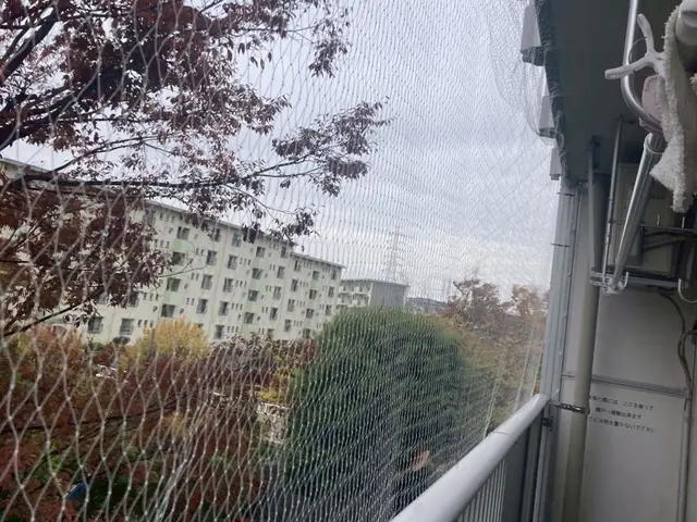 【最短即日対応】ハト対策・防鳥ネット施工｜清掃・消毒まで一括対応サービスの画像