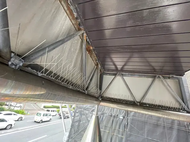 【最短即日対応】ハト対策・防鳥ネット施工｜清掃・消毒まで一括対応サービスの画像