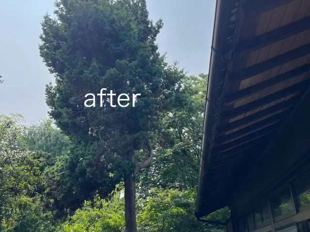 2000本以上の剪定実績！若手プロが庭を明るく変身させますサービスの画像