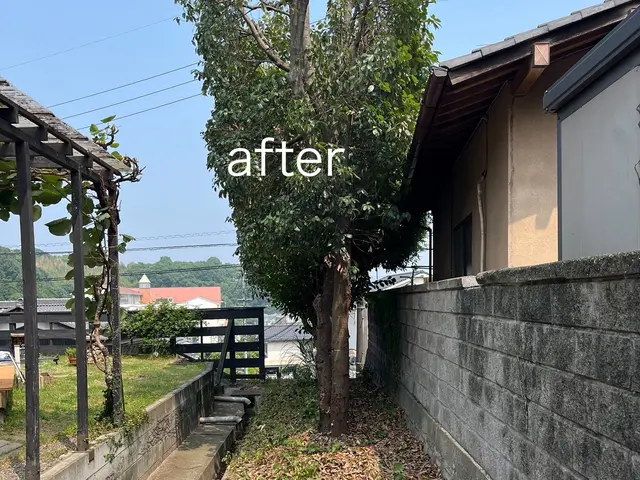 2000本以上の剪定実績！若手プロが庭を明るく変身させますサービスの画像