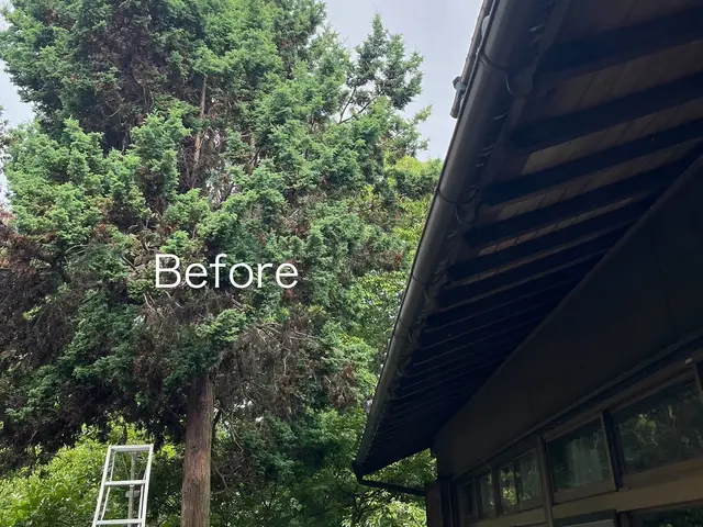 2000本以上の剪定実績！若手プロが庭を明るく変身させますサービスの画像