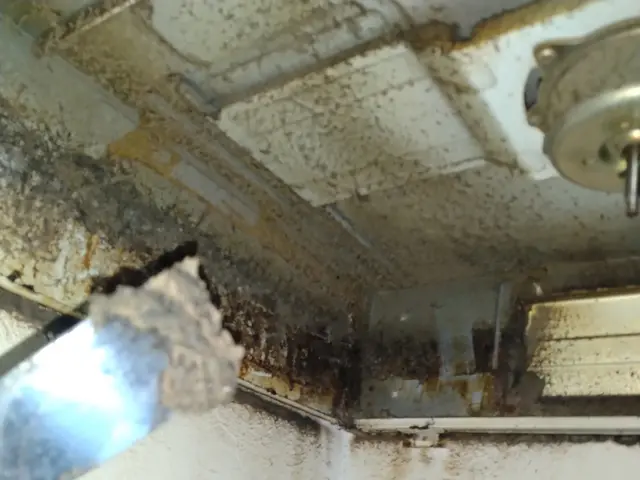 『キレイにしたいけど…』そんなあなたのお悩み、当店にお聞かせください☆彡サービスの画像