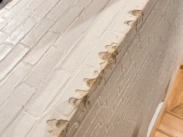 貴方の味方☆壁紙補償屋さん☆壁もお家の空気も快適にします✩.*˚サービスの画像