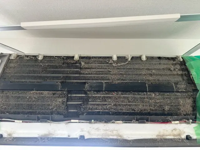 分解高圧洗浄 × 専用薬剤で本格クリーニング。気になるニオイもカビも徹底除去！サービスの画像