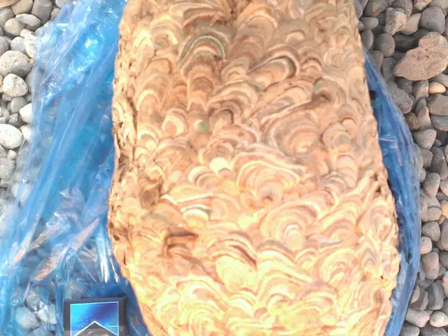 【業歴24年の実績】年中無休◎営業時間外も対応可能◎アフターフォローも万全サービスの画像