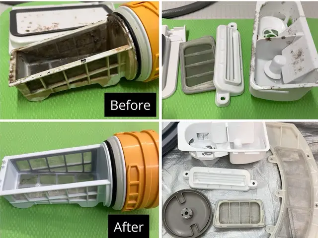 子どもも触れる清潔さに♪カビ・ニオイ徹底除去のドラム分解洗浄サービスの画像
