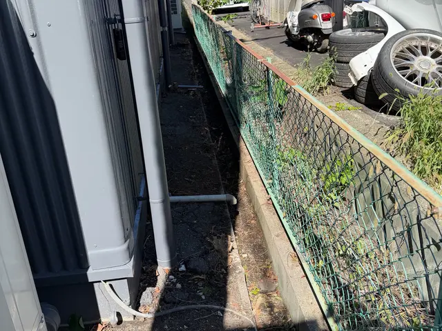 ツタの除去サービスの画像