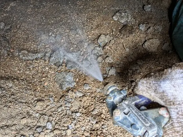 白蟻駆除は経験豊富な弊社へお任せ下さい。前川防虫へサービスの画像