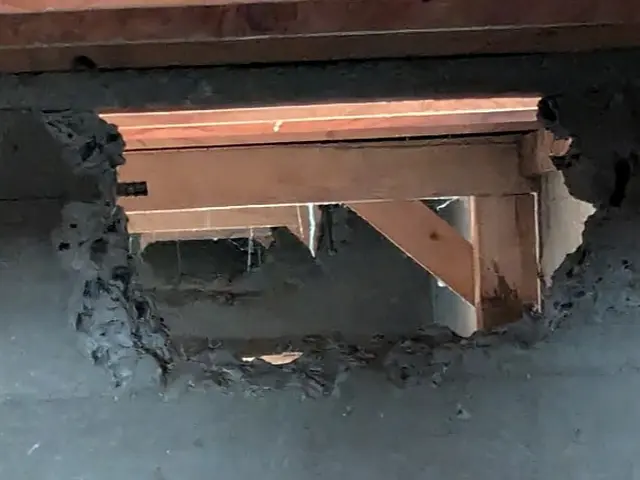 白蟻駆除は経験豊富な弊社へお任せ下さい。前川防虫へサービスの画像