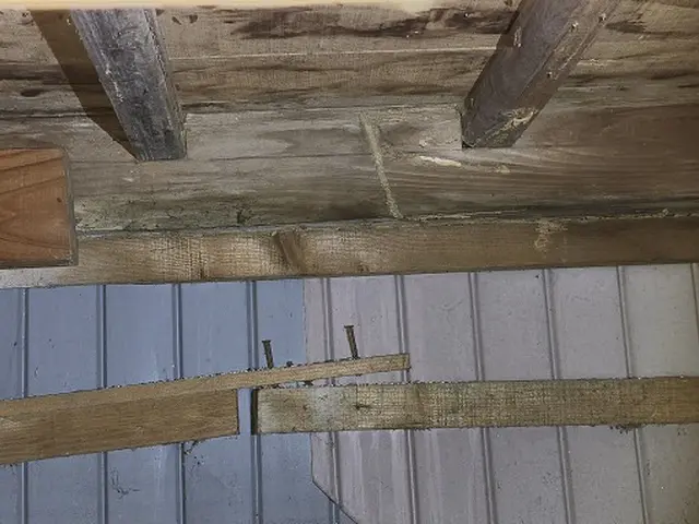 白蟻駆除は経験豊富な弊社へお任せ下さい。前川防虫へサービスの画像