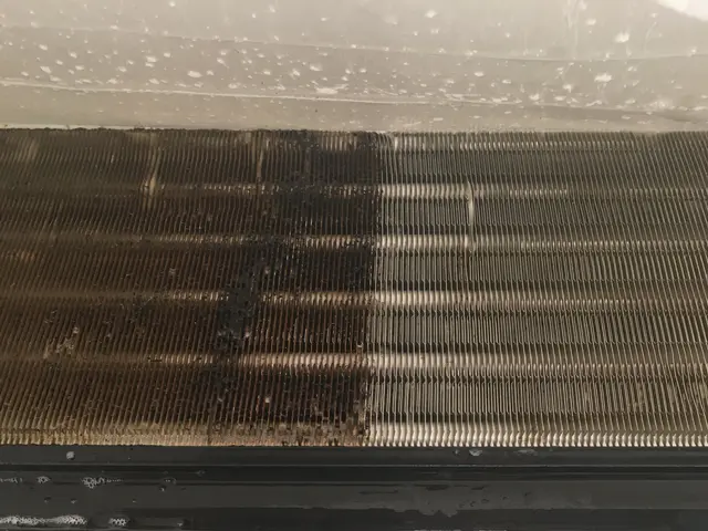 駐車場代当店負担♪防カビコート込、複数台割引☆(11月以降予約可)サービスの画像